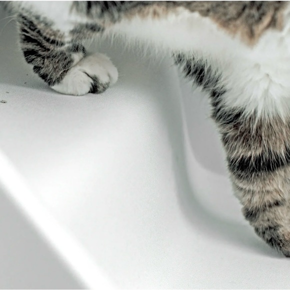 NEW Litter-Robot 4 Ramp by Whisker, White-CAT RAMP , Non-Slip Rubber Feet. - Picture 5 of 7